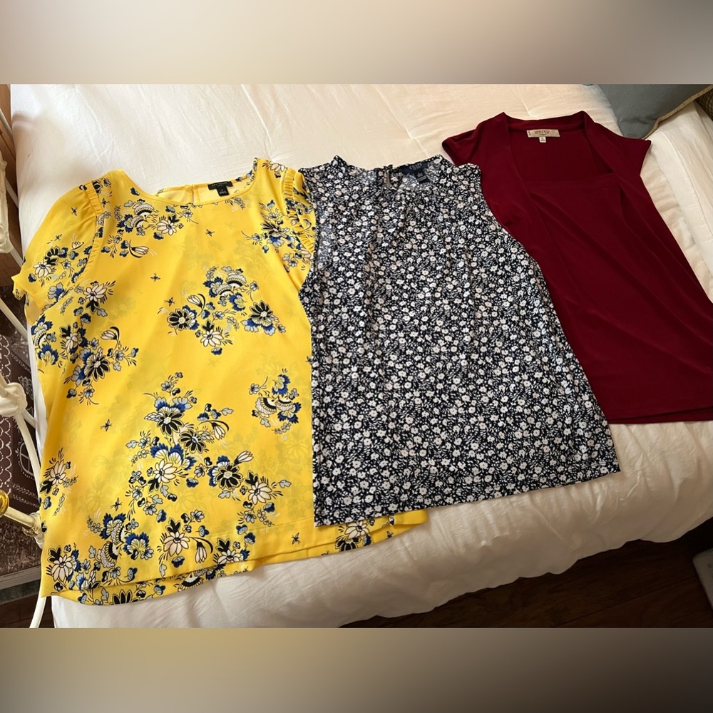 Assorted shells by Chaps, Ann Taylor and Kasper in Petite Large and Large